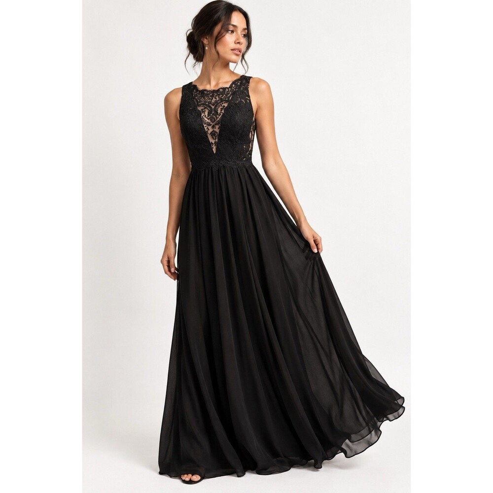 Jenny Yoo Collection Anthropologie Black Lace Illusion Chiffon Maxi Gown Size 0